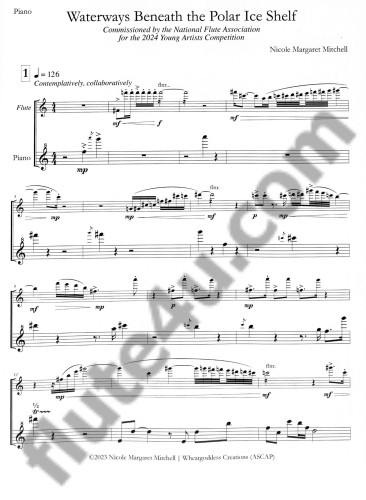 Mitchell, NM :: Waterways Beneath the Polar Ice Shelf