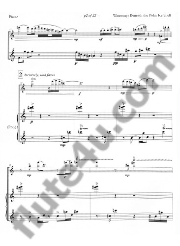 Mitchell, NM :: Waterways Beneath the Polar Ice Shelf