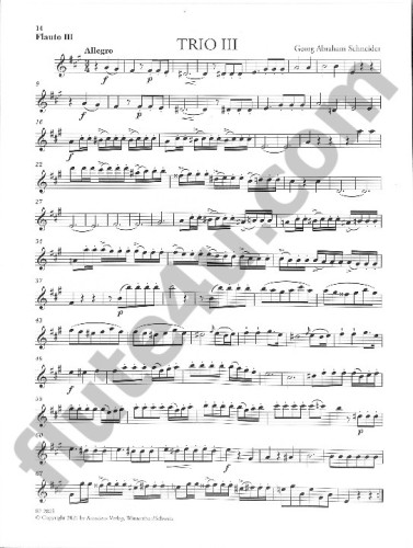 Schneider, GA :: 6 Trios concertante fur 3 Floten Nr. 1-3 [6 Concert Trios for 3 Flutes Nr. 1-3]