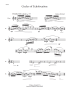 Mitchell, D :: Circles of Echolocation