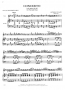 Vivaldi, A :: Concerto in G Major, RV 437