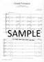 Boehm, T :: Grand Polonaise in D major, opus 16