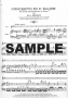 Mozart, WA :: Concerto in D Major K. 314 (285d)