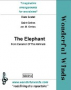 Saint-Saens, C :: The Elephant from Carnival of the Animals