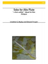 Various :: Solos for Alto Flute