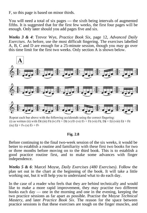 Carolyn Nussbaum Music Company Books Books Flute Secrets Trevor Wye